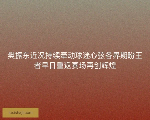 樊振东近况持续牵动球迷心弦各界期盼王者早日重返赛场再创辉煌