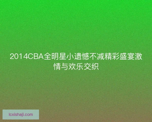 2014CBA全明星小遗憾不减精彩盛宴激情与欢乐交织